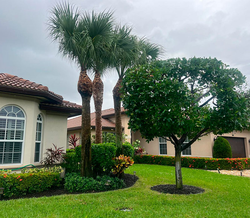 Towing services in Hesperia