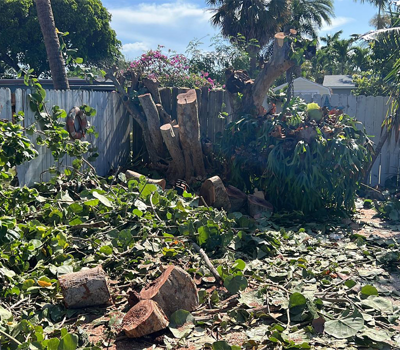 Towing services in Hesperia