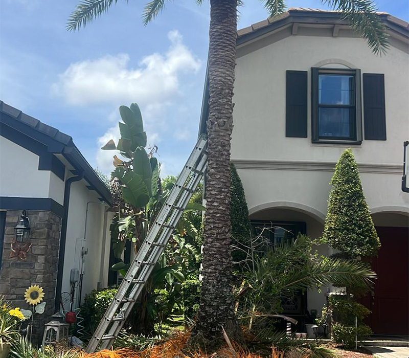 Towing services in Hesperia