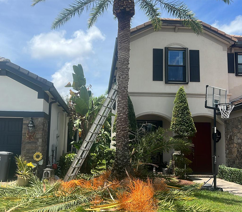 Towing services in Hesperia