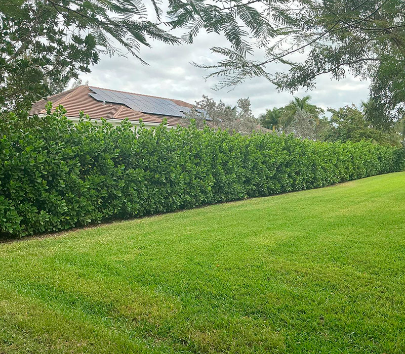 Towing services in Hesperia