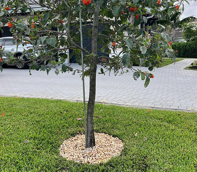 Towing services in Hesperia