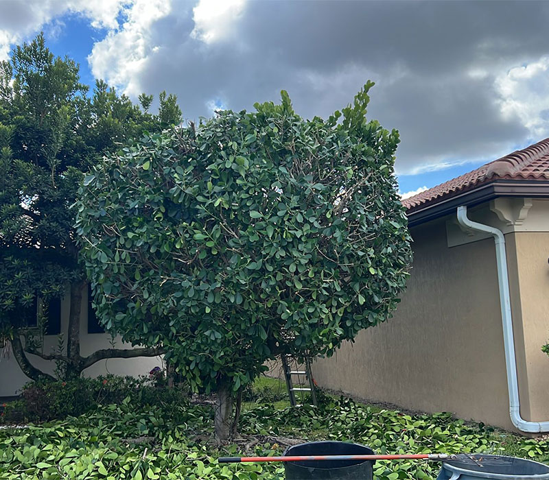 Towing services in Hesperia