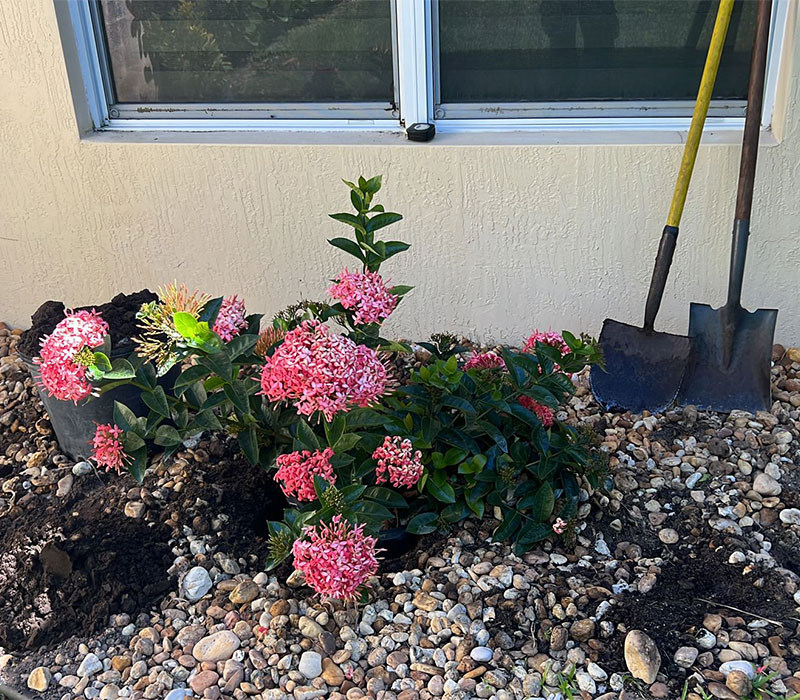 Towing services in Hesperia