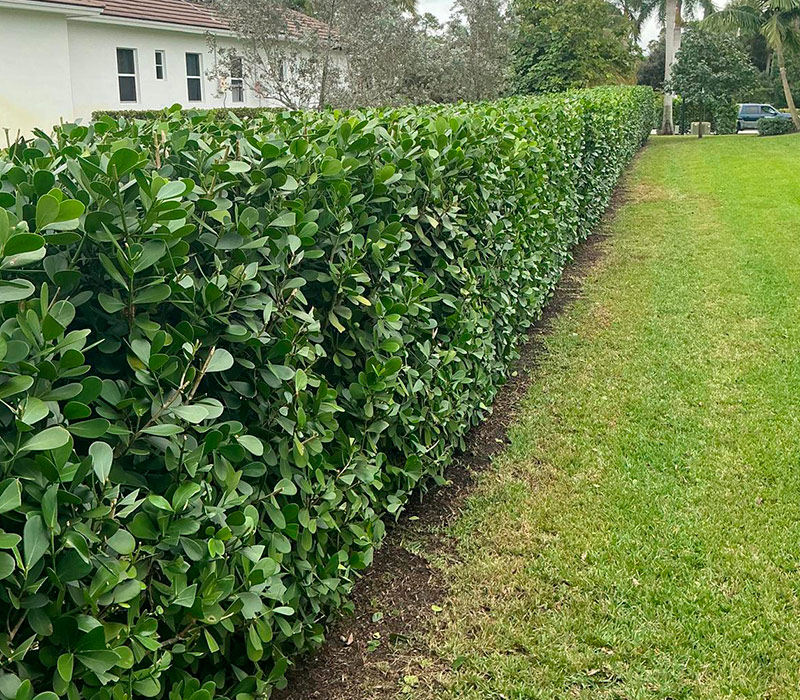 Towing services in Hesperia