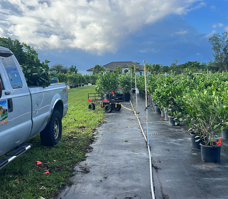 Towing services in Hesperia