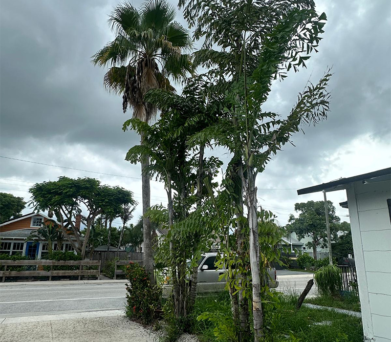 Towing services in Hesperia