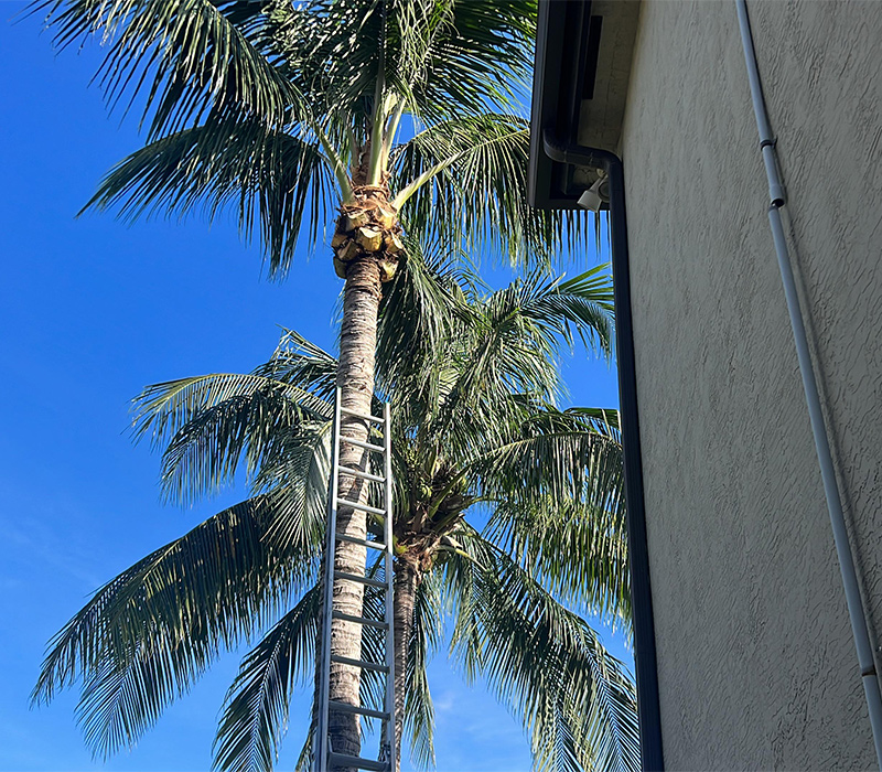 Towing services in Hesperia