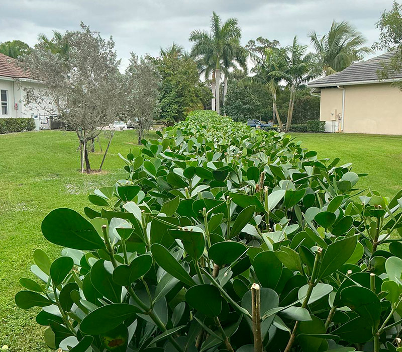 Towing services in Hesperia