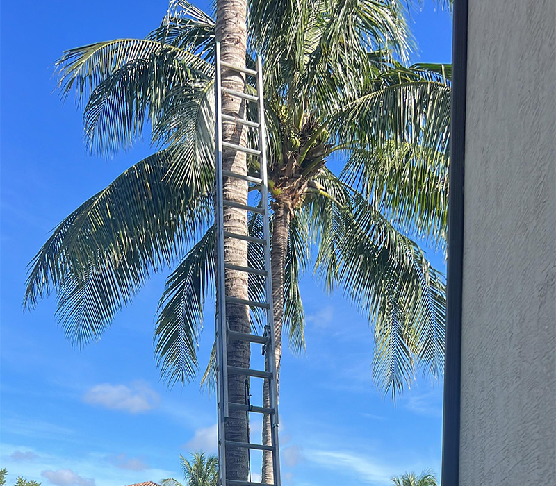 Towing services in Hesperia