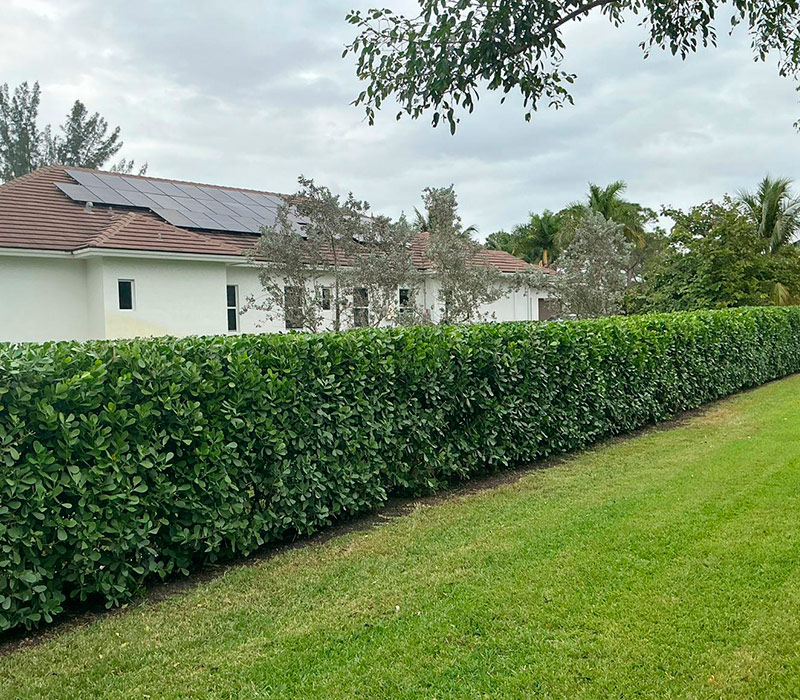 Towing services in Hesperia