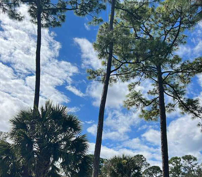 Towing services in Hesperia