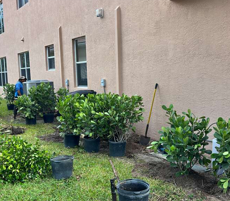 Towing services in Hesperia