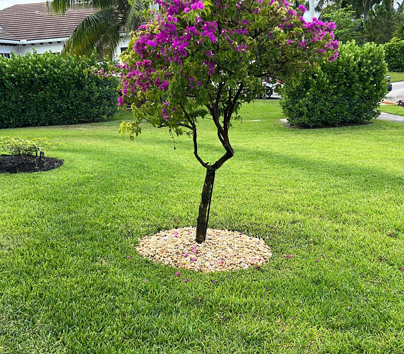 Towing services in Hesperia