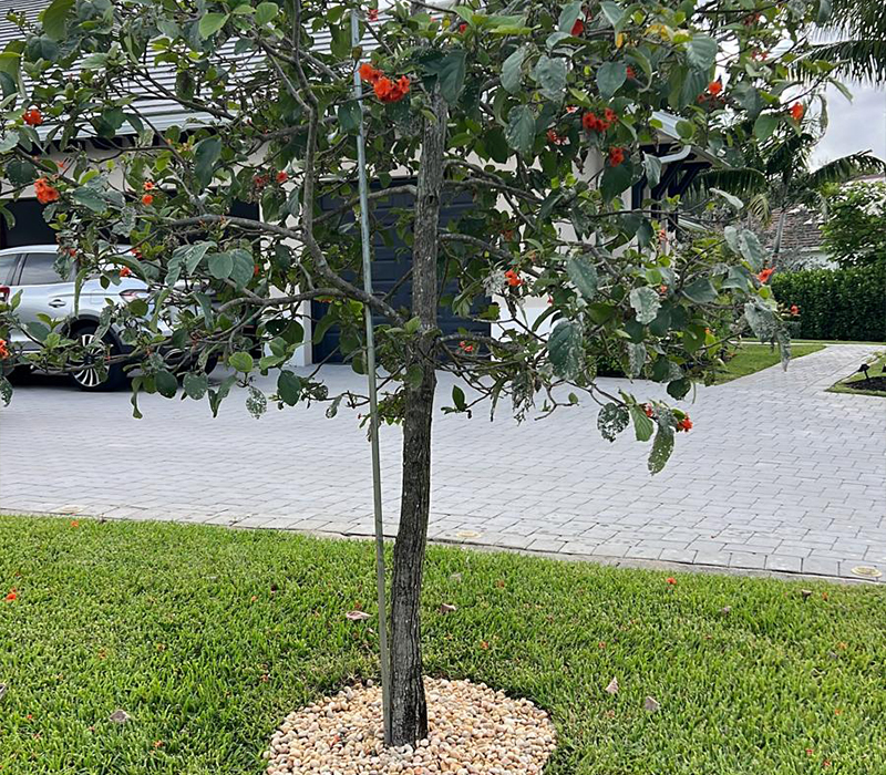 Towing services in Hesperia