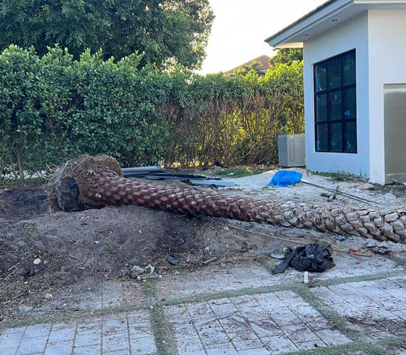 Towing services in Hesperia