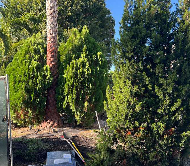 Towing services in Hesperia