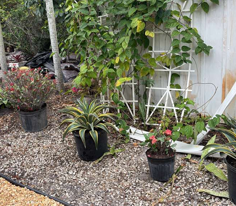 Towing services in Hesperia