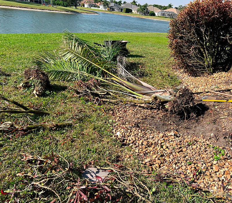 Towing services in Hesperia