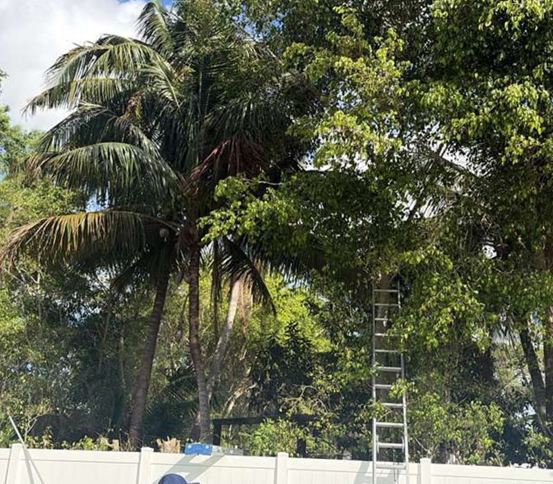 Towing services in Hesperia