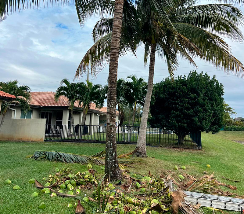 Towing services in Hesperia