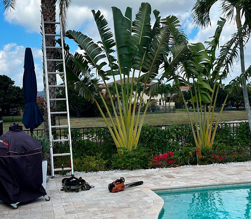 Towing services in Hesperia