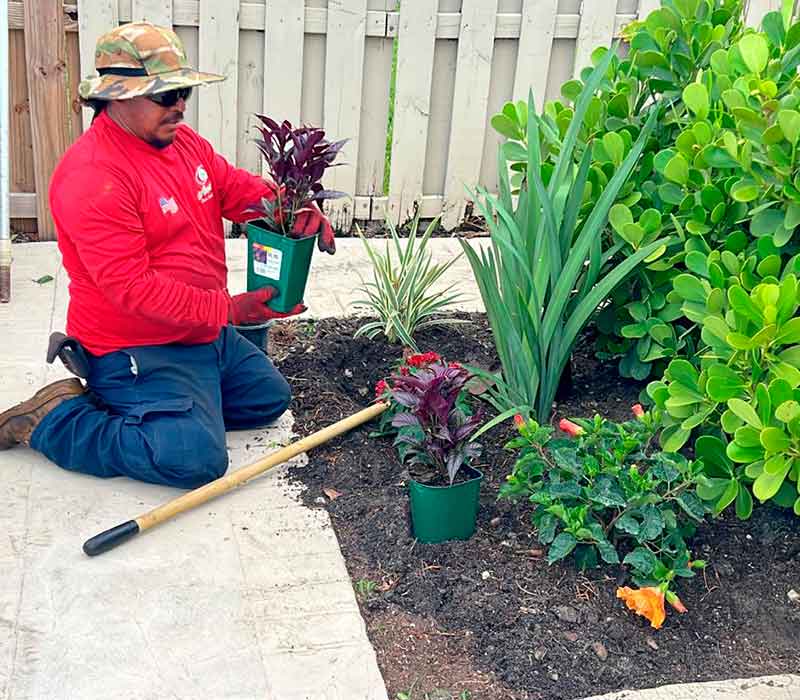 Towing services in Hesperia