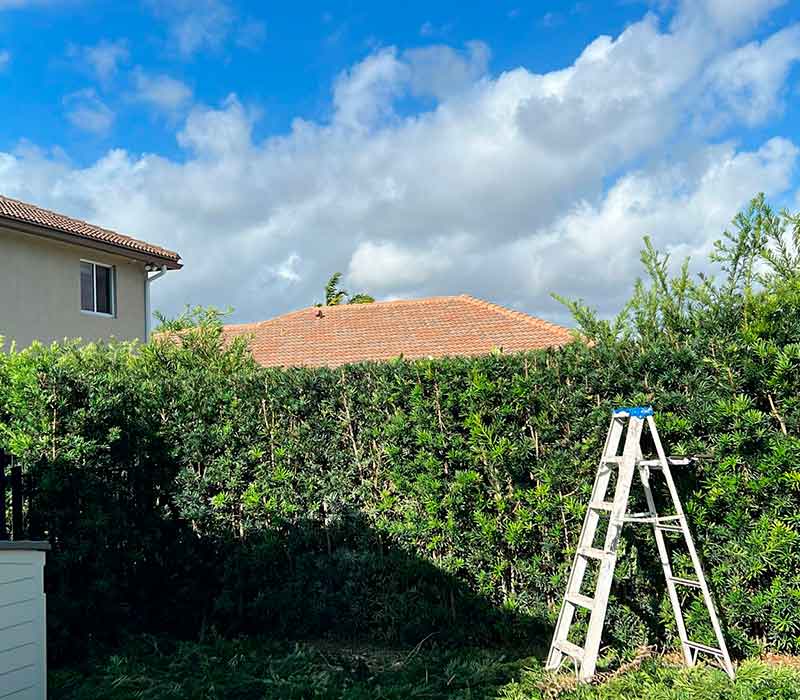 Towing services in Hesperia