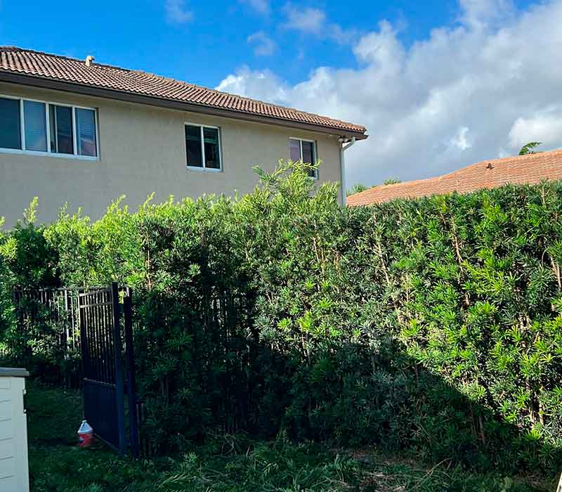 Towing services in Hesperia