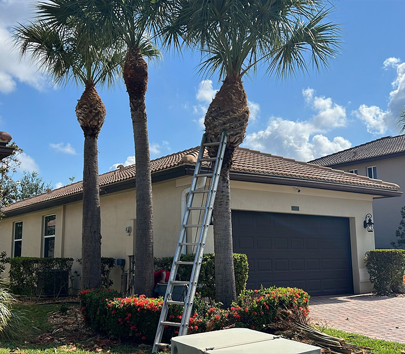 Towing services in Hesperia