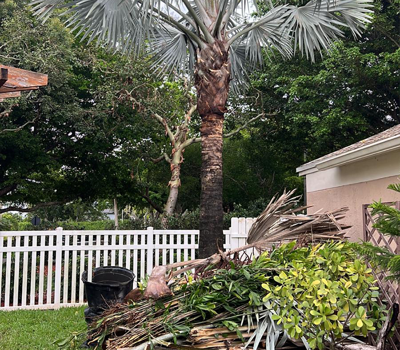 Towing services in Hesperia