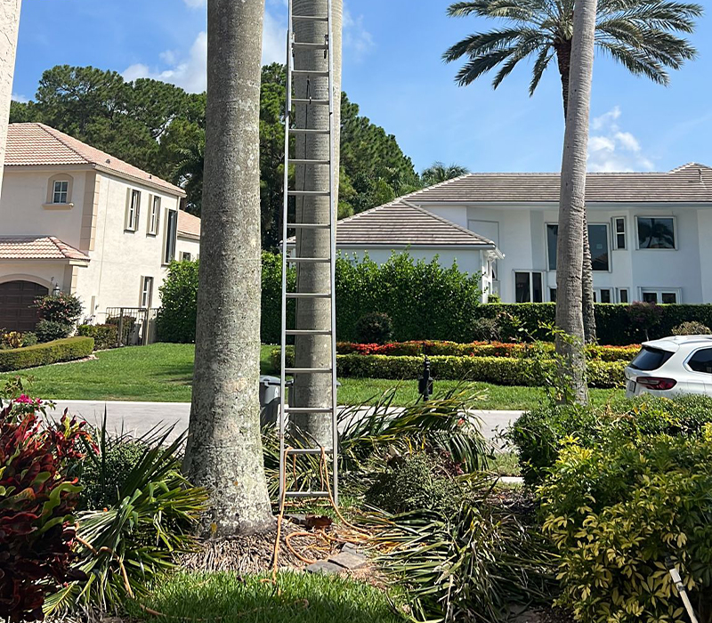 Towing services in Hesperia