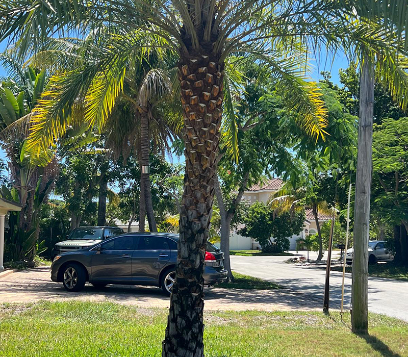 Towing services in Hesperia