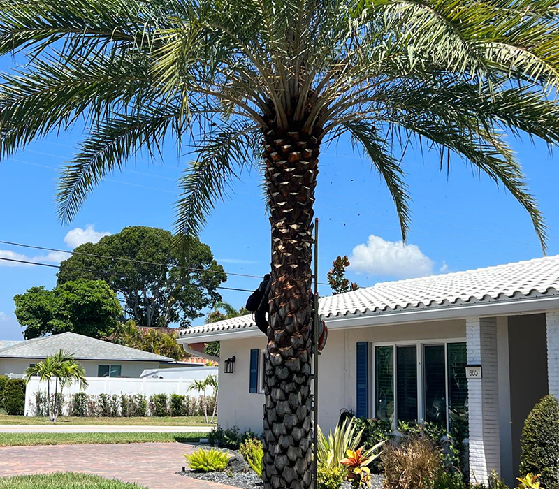 Towing services in Hesperia