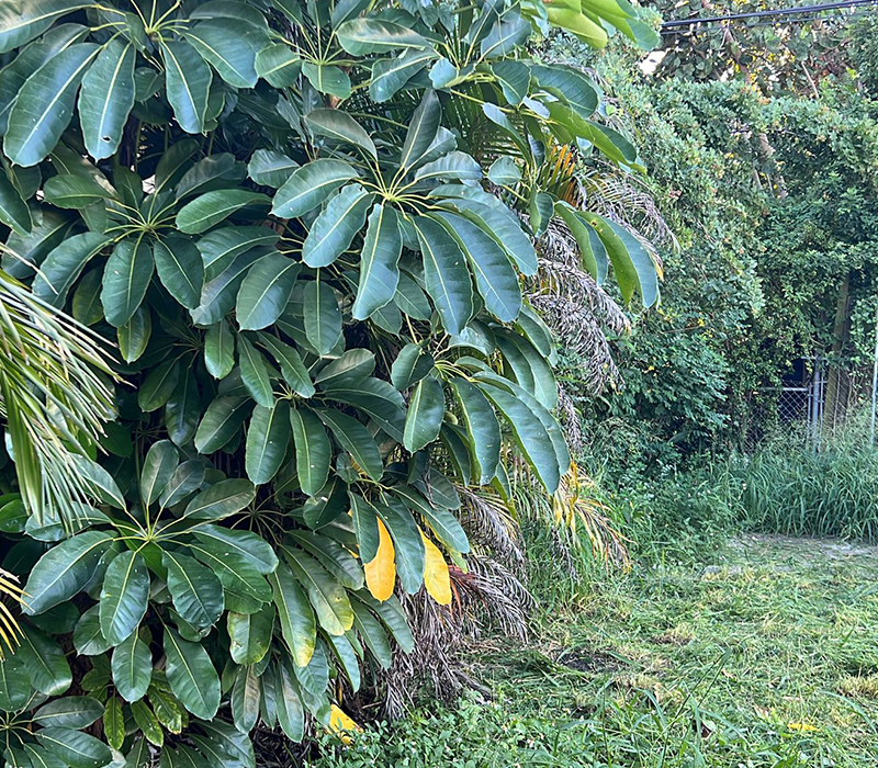 Towing services in Hesperia