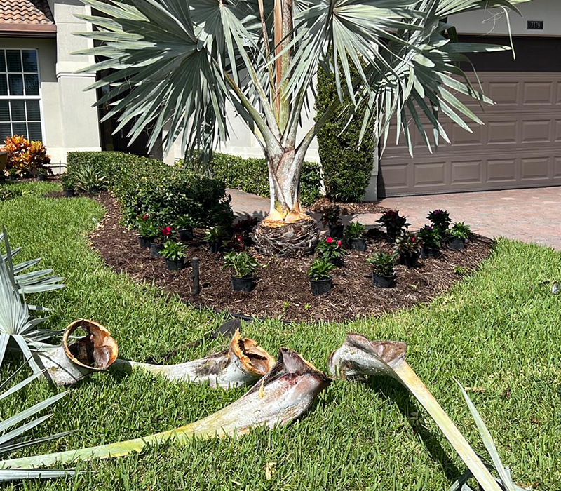 Towing services in Hesperia