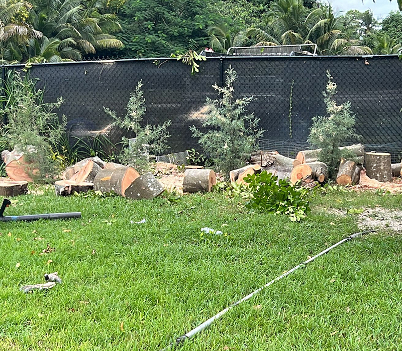 Towing services in Hesperia