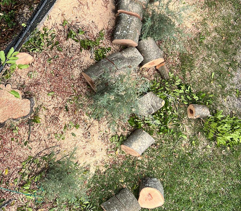 Towing services in Hesperia