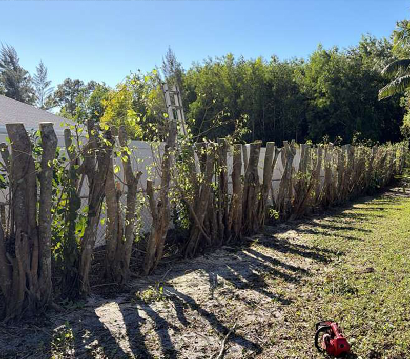 Towing services in Hesperia