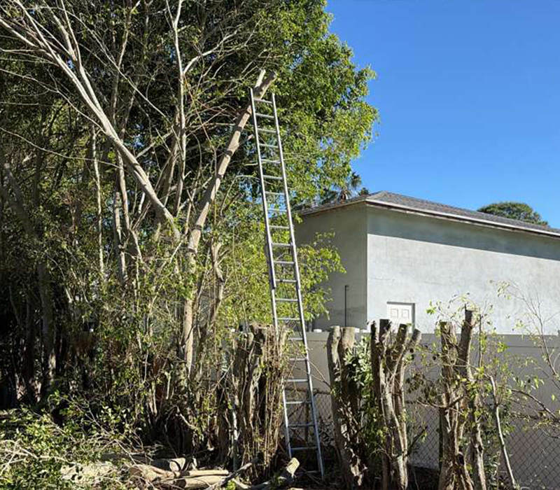 Towing services in Hesperia