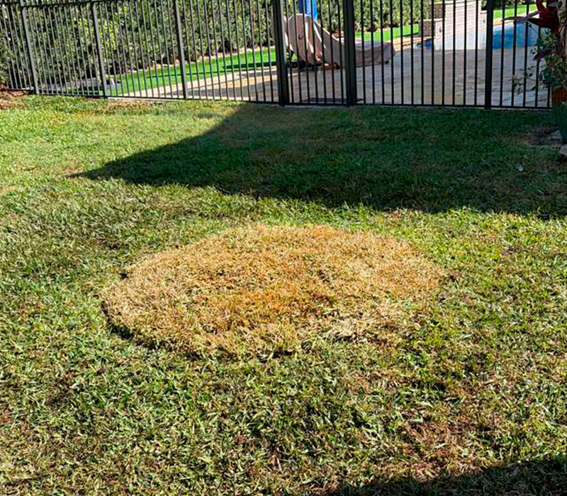 Towing services in Hesperia