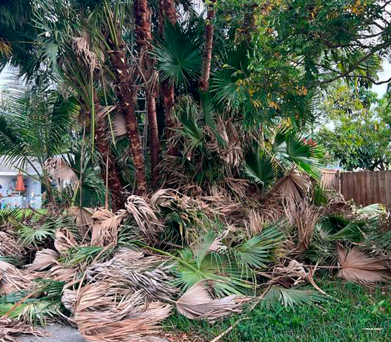 Towing services in Hesperia