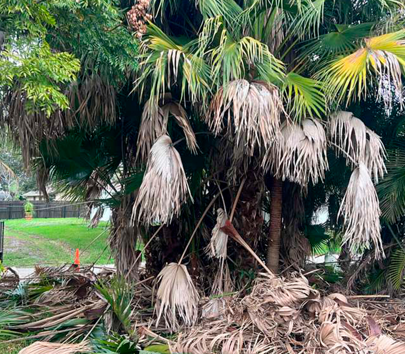 Towing services in Hesperia