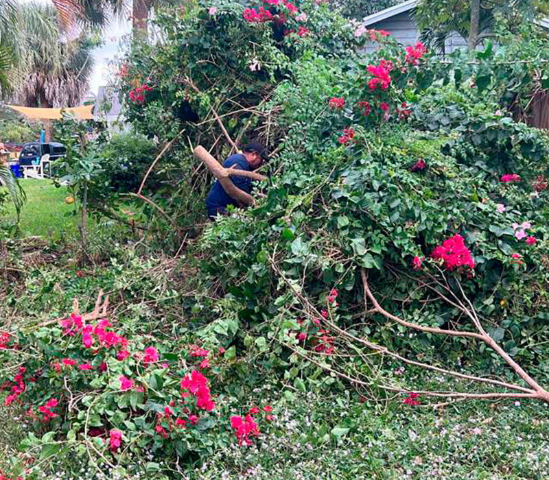 Towing services in Hesperia