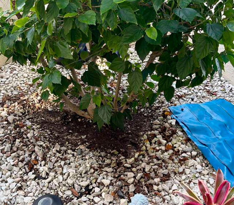 Towing services in Hesperia